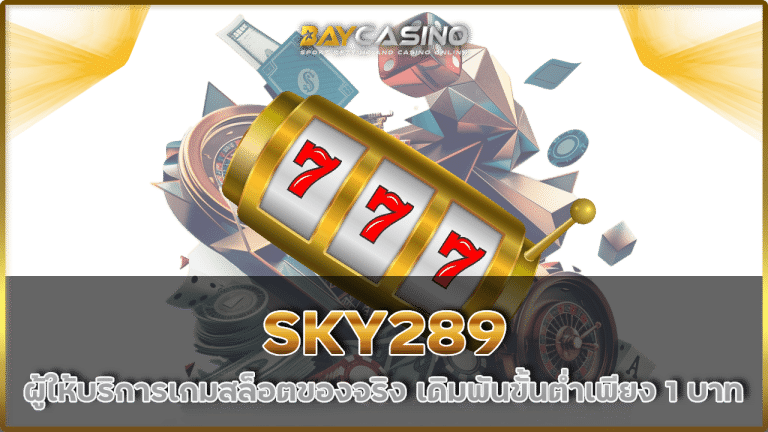 SKY289